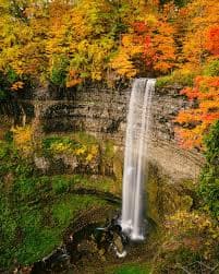 11:00 AM Hike Tews Falls Trail